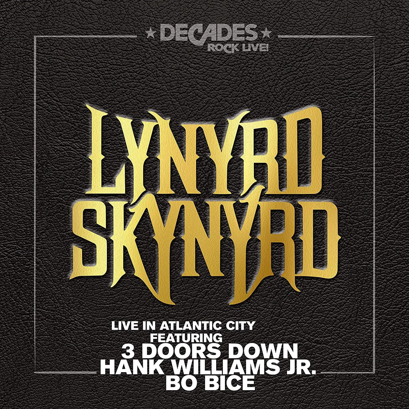 Lynyrd Skynyrd Live in Atlantic City Vinyl Record