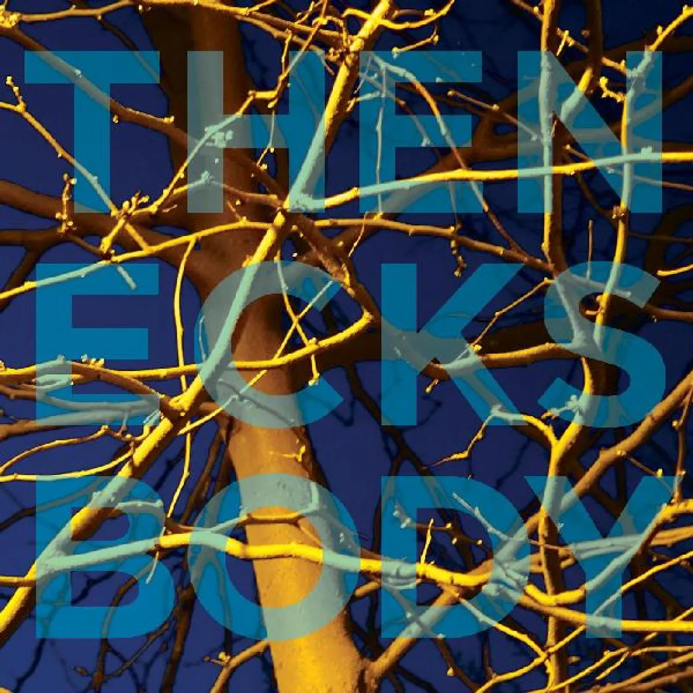 The Necks BODY CD