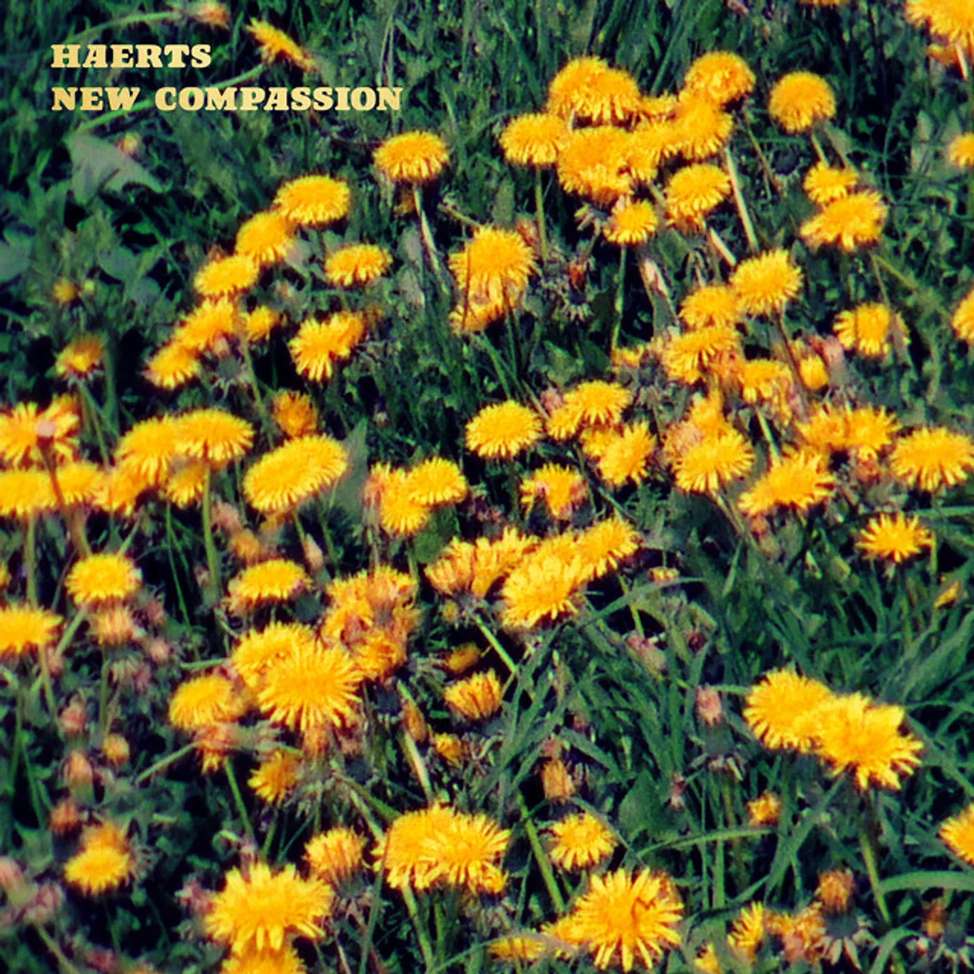 HAERTS New Compassion Vinyl Record