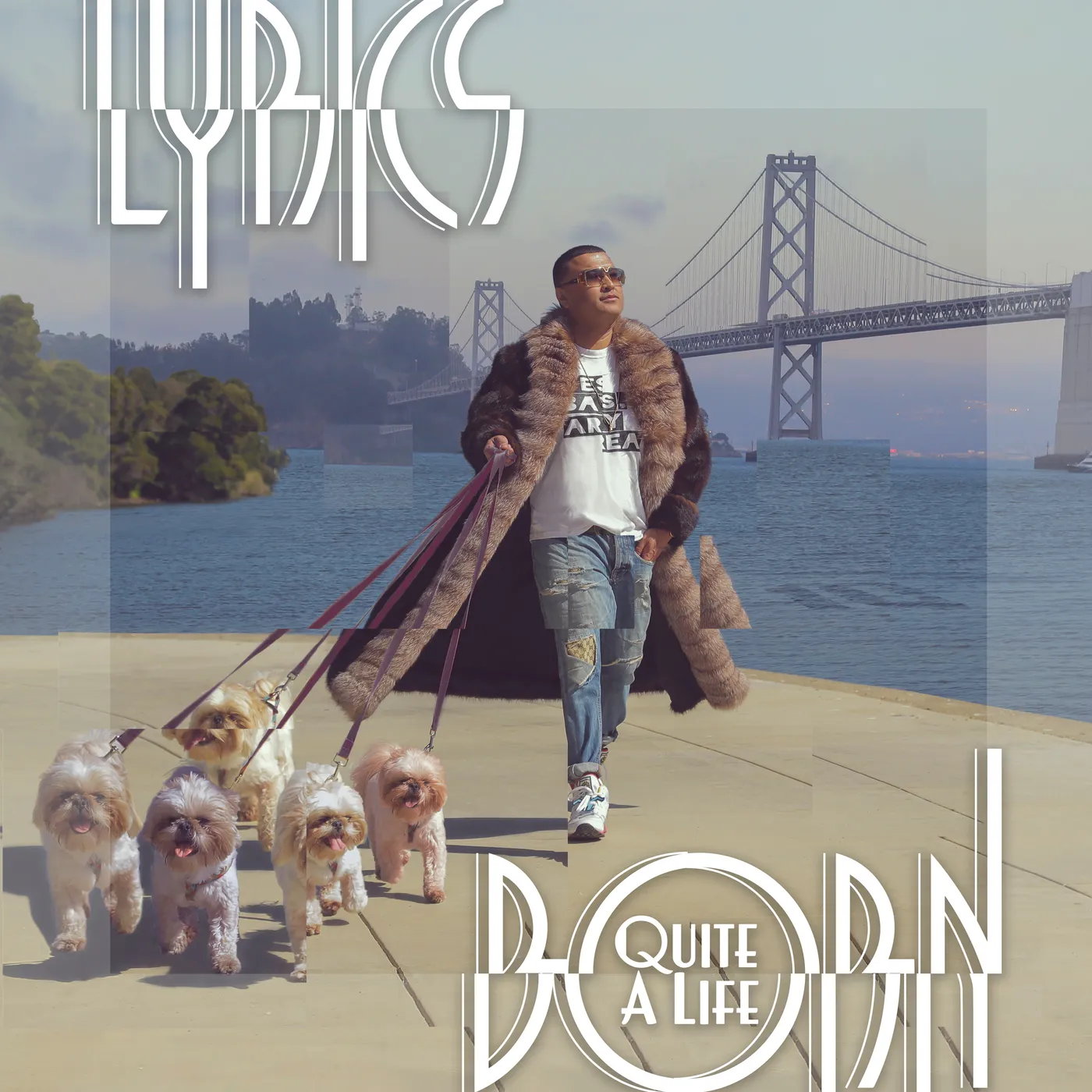 Lyrics Born Quite a Life Vinyl Record