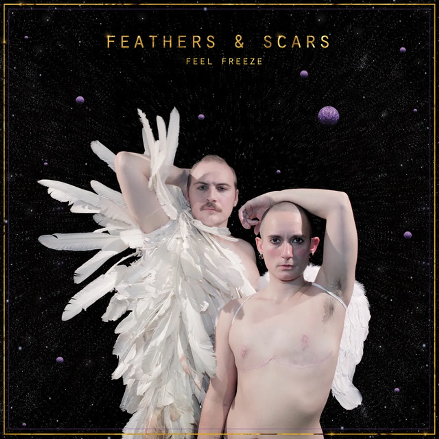 Feel Freeze Feathers & Scars Vinyl Record