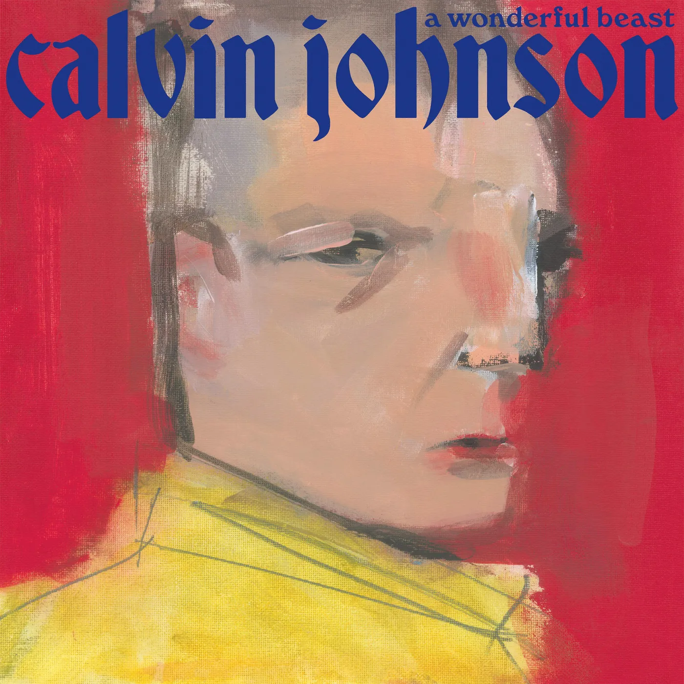 Calvin Johnson WONDERFUL BEAST CD
