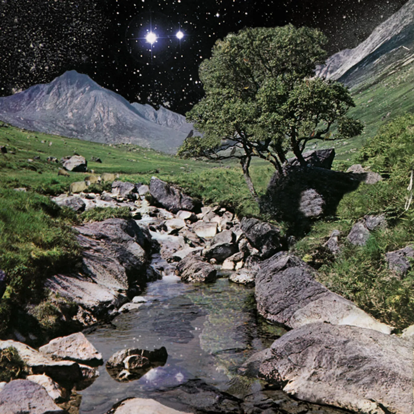 The Beta Band Vinyl Record