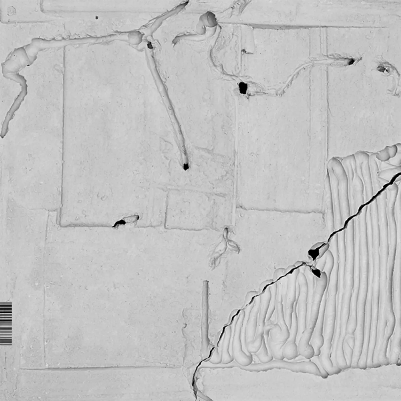 Belia Winnewisser RADIKALE Vinyl Record