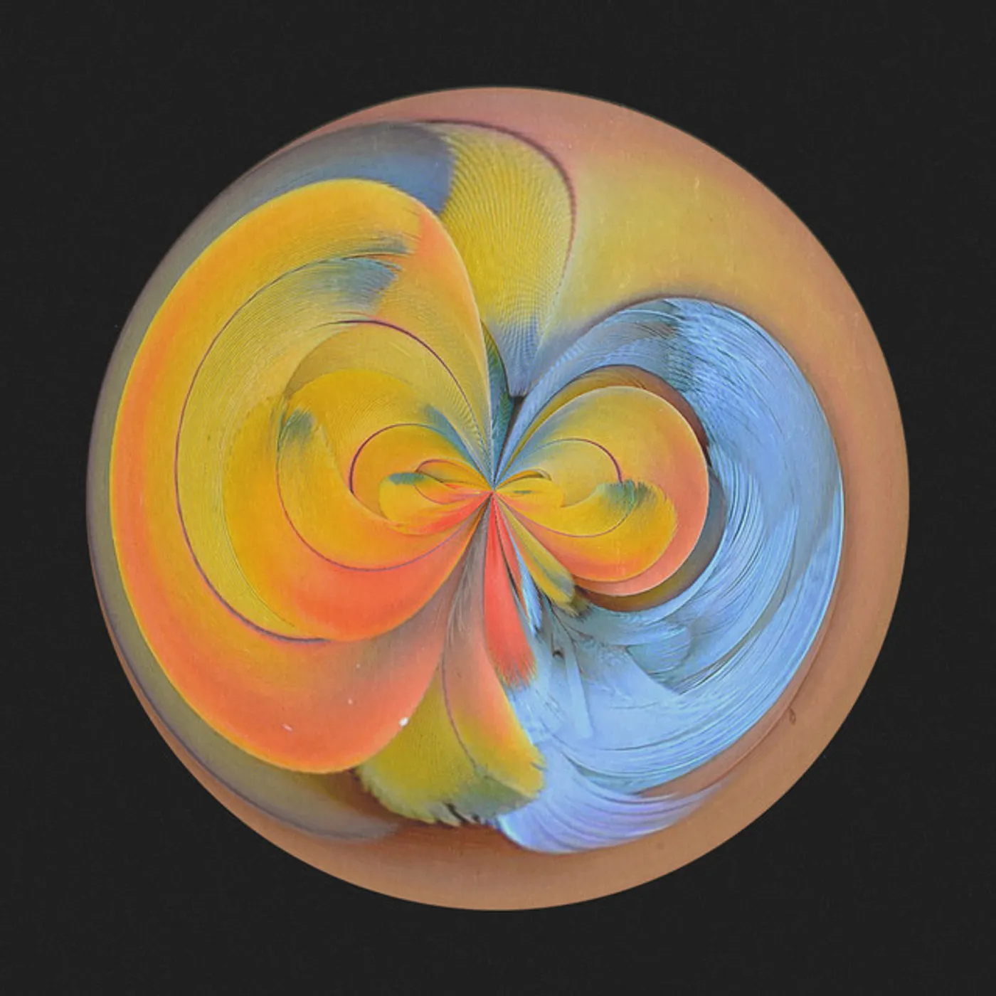 Gold Fields Glow Vinyl Record