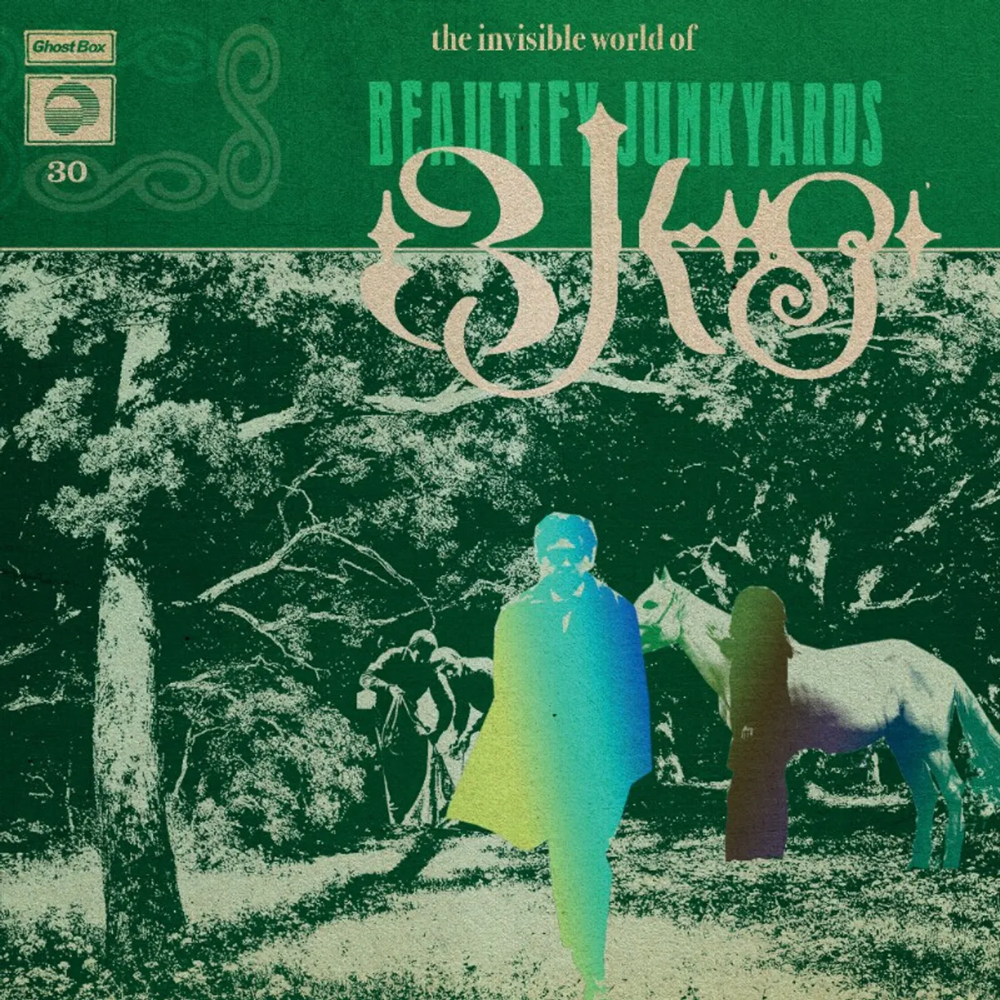 The Invisible World of Beautify Junkyards Vinyl Record