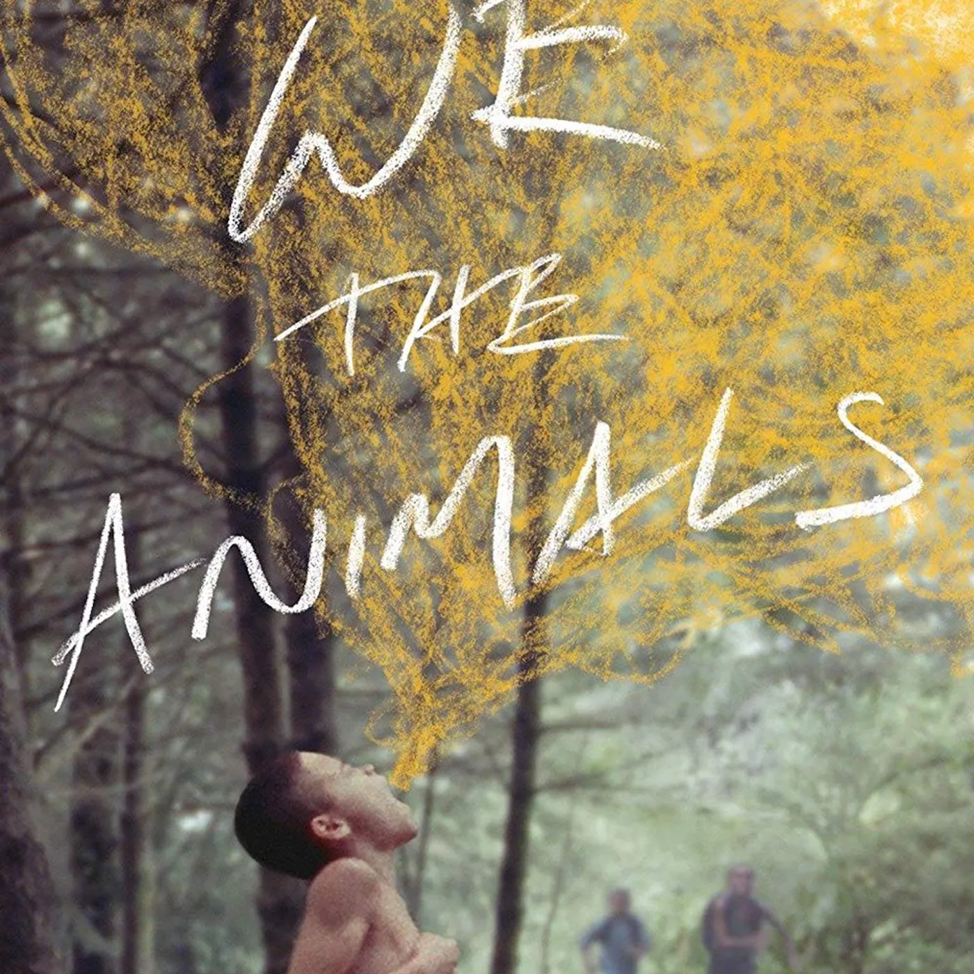 WE THE ANIMALS DVD