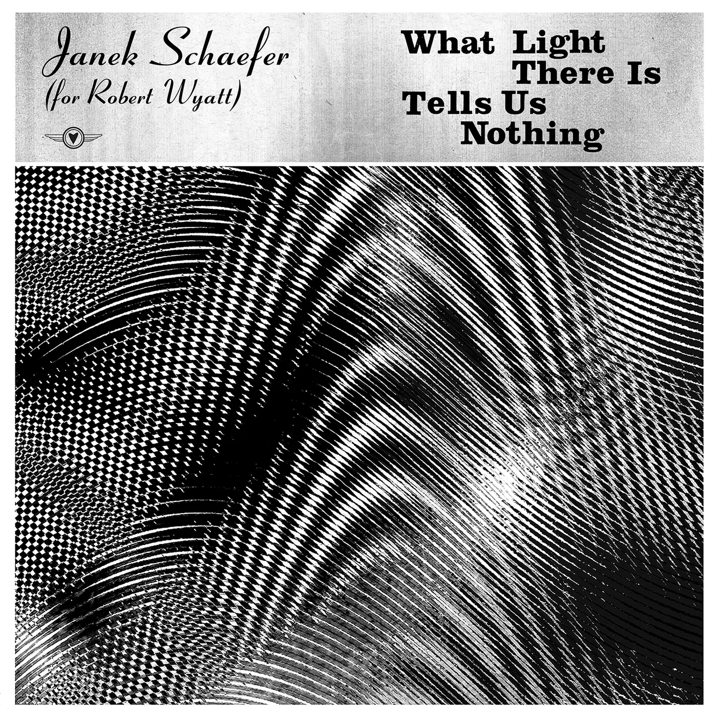 Janek Schaefer What Light There Is Tells Us Nothing Vinyl Record