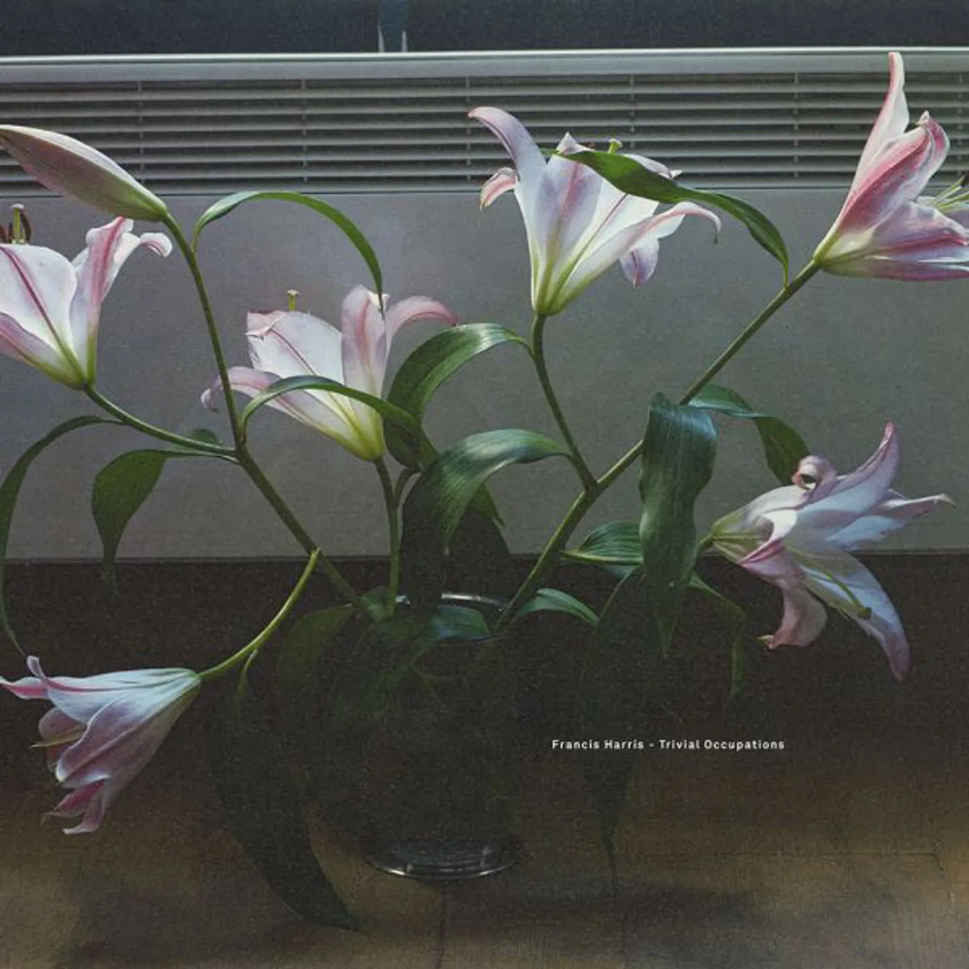 Francis Harris TRIVIAL OCCUPATIONS Vinyl Record