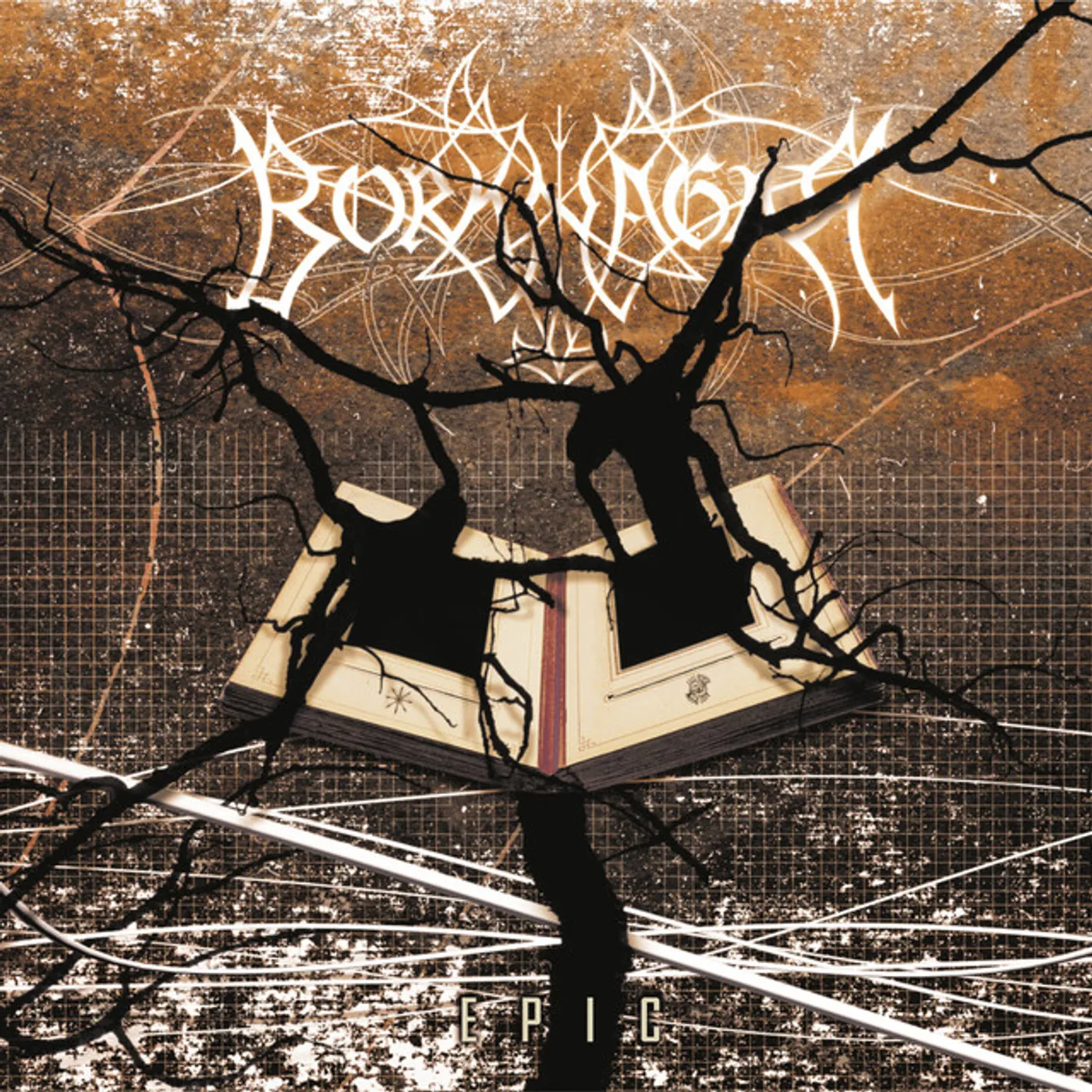 Borknagar Epic Vinyl Record