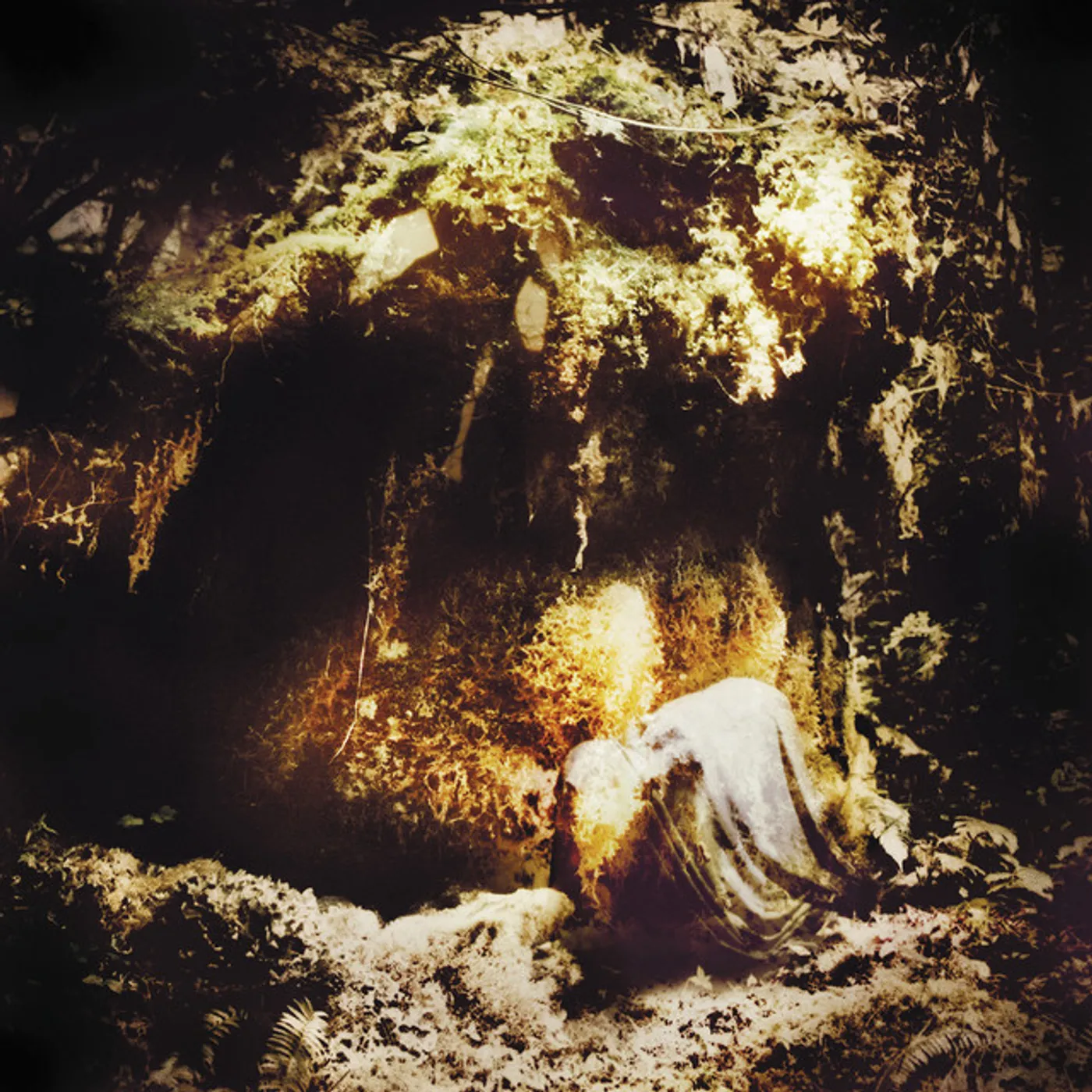 Wolves In The Throne Room Celestial Lineage Vinyl Record