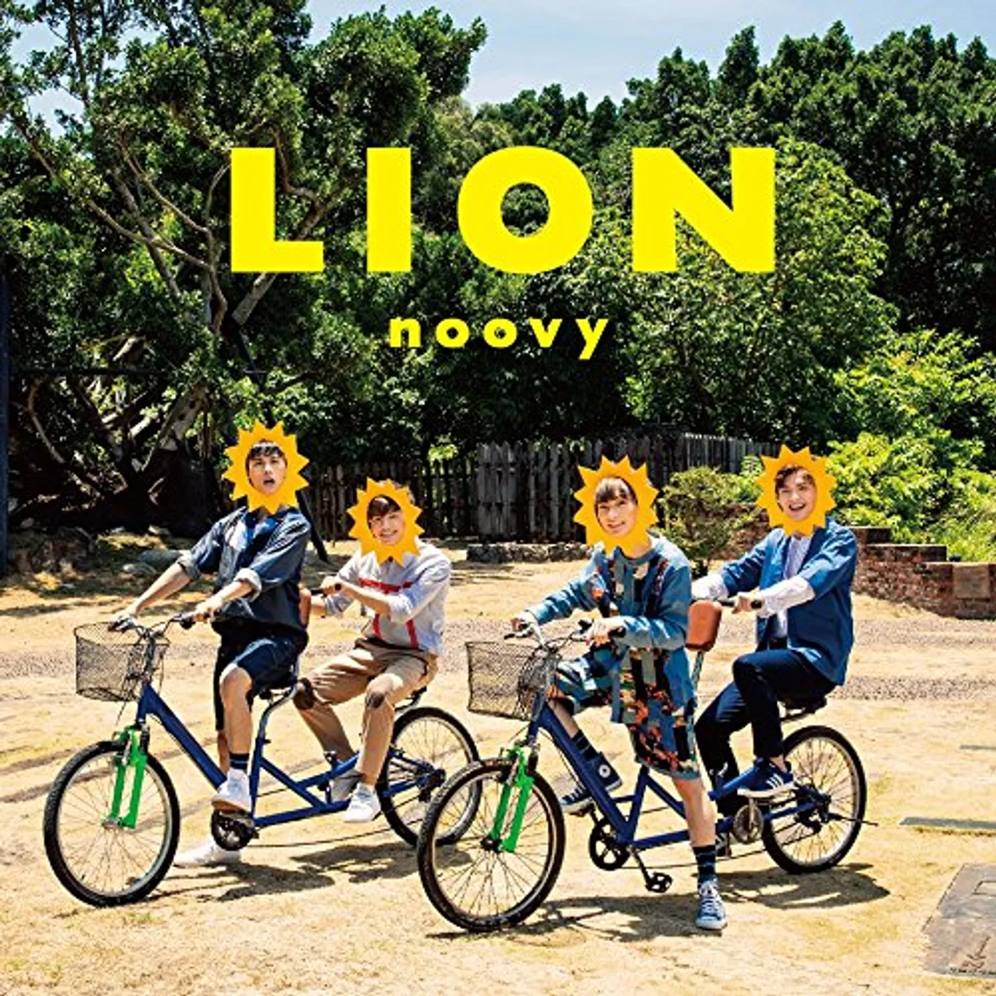 noovy LION CD