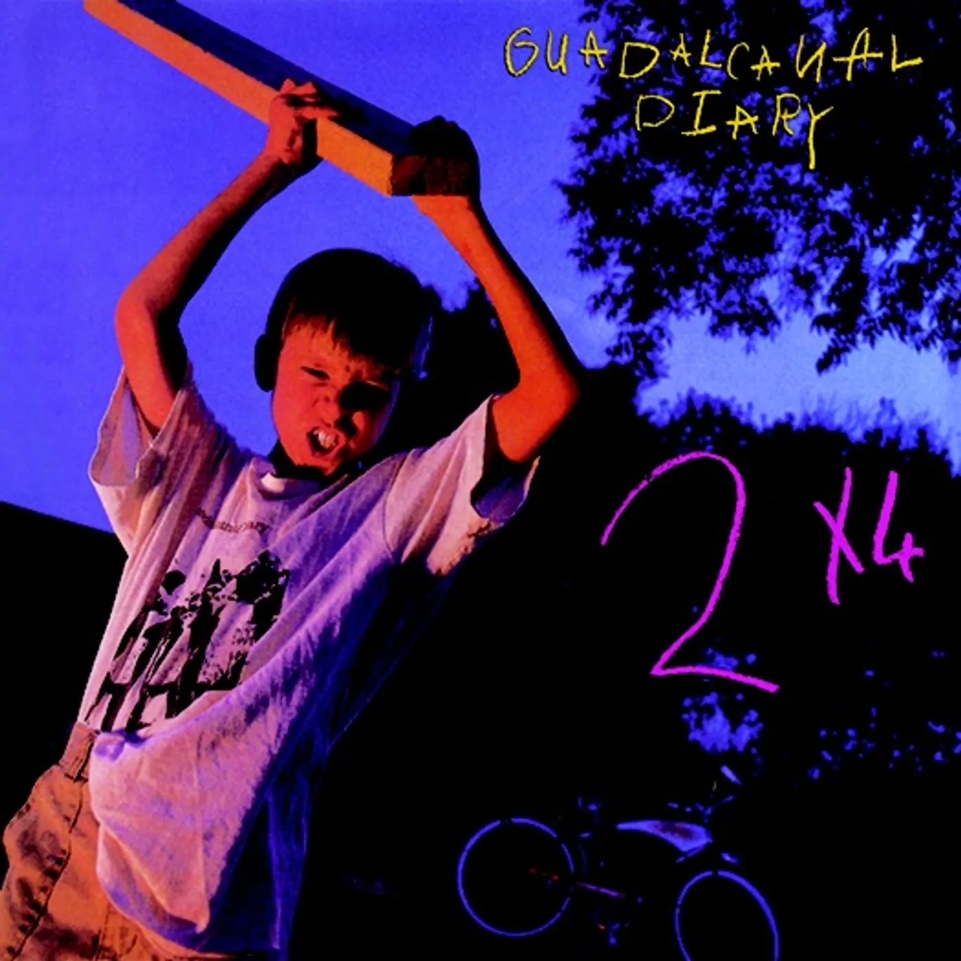 Guadalcanal Diary 2X4 - EXPANDED EDITION (24 TRACKS) CD