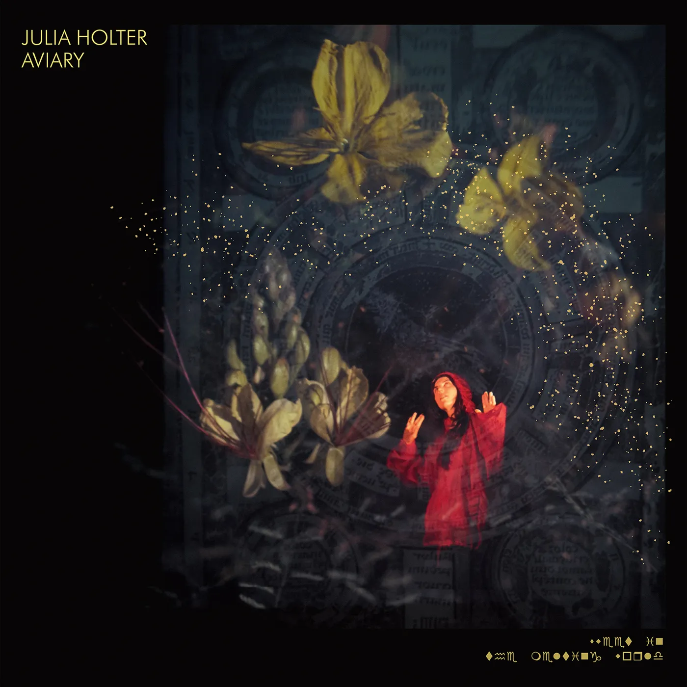 Julia Holter AVIARY CD