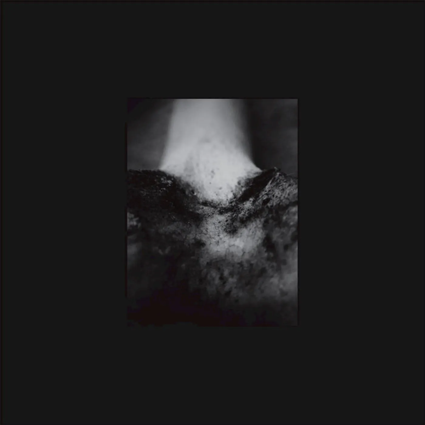 Common Eider, King Eider WOUND OF BODY Vinyl Record
