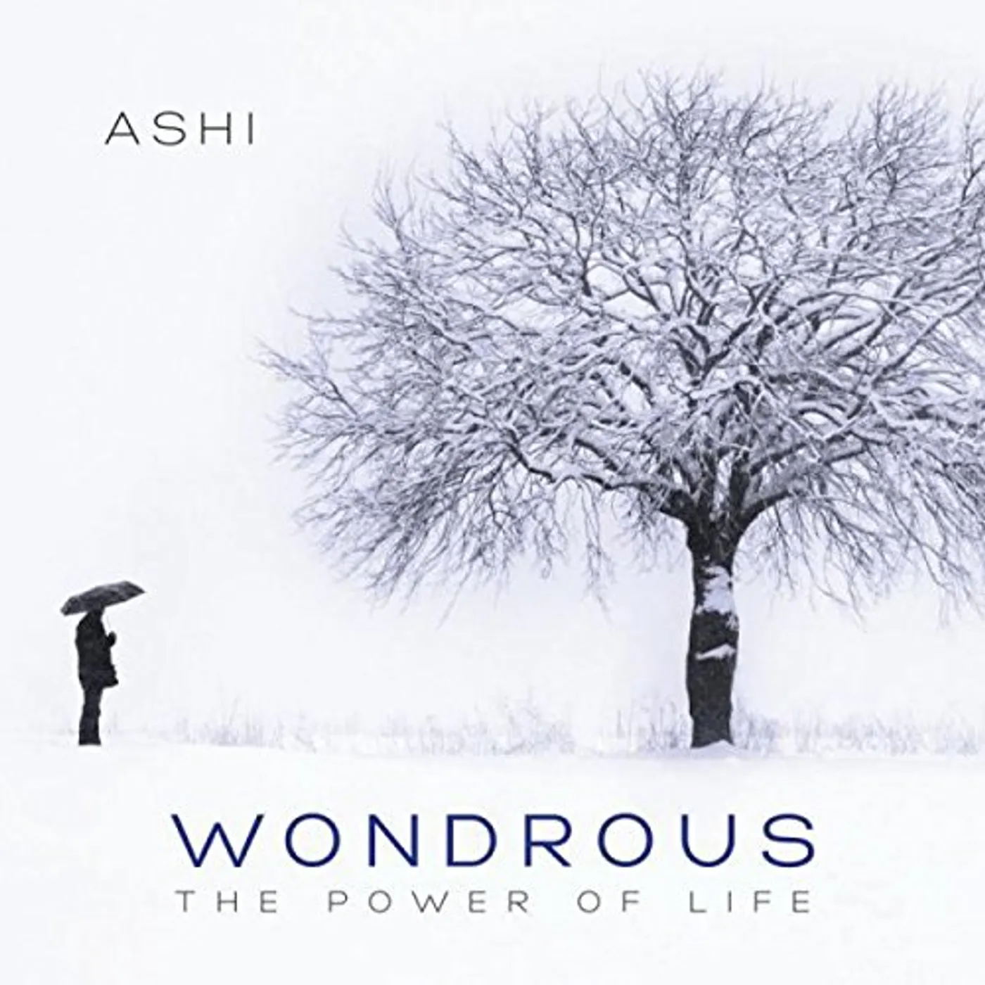 ASHI WONDROUS CD