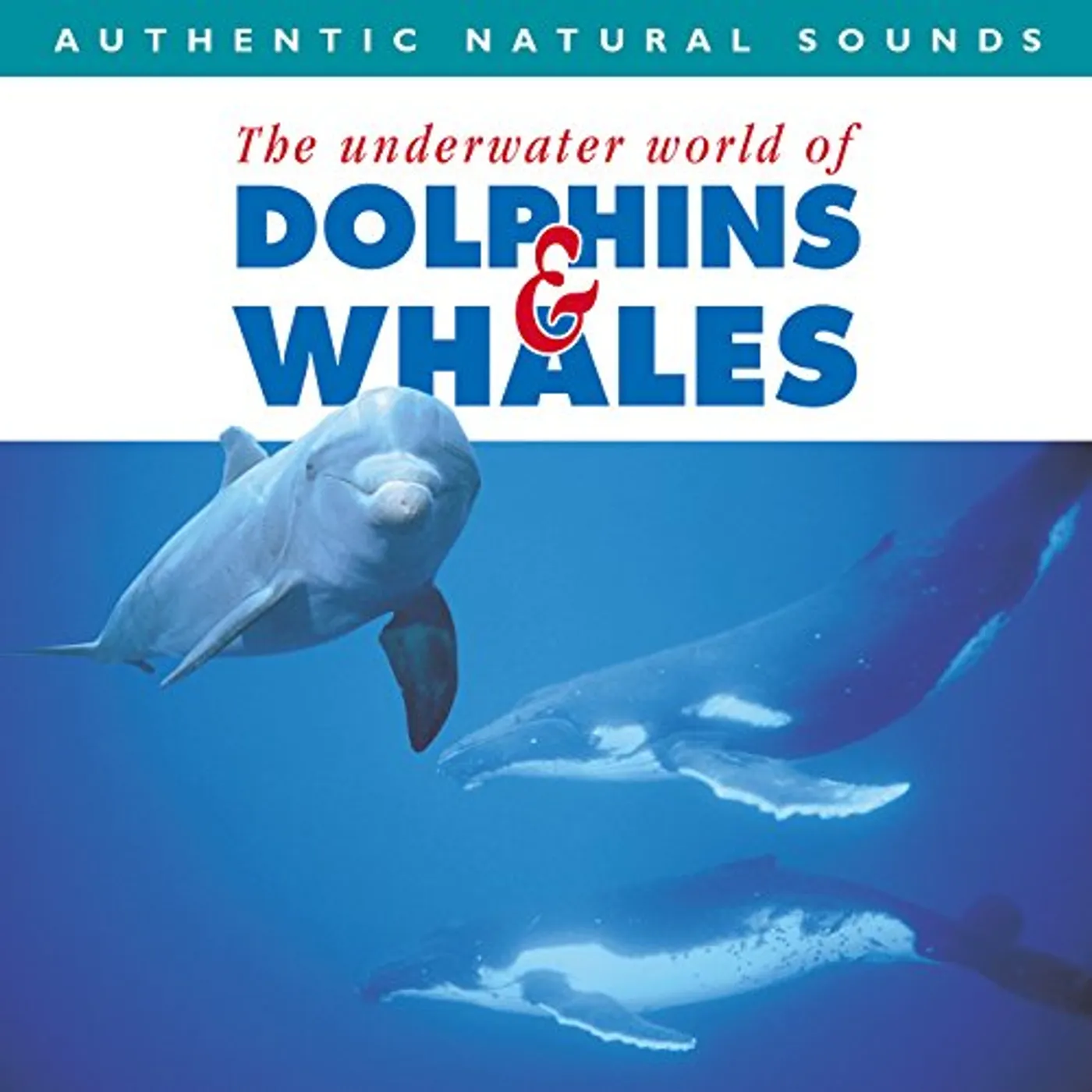 Natural Sounds DOLPHINS & WHALES CD