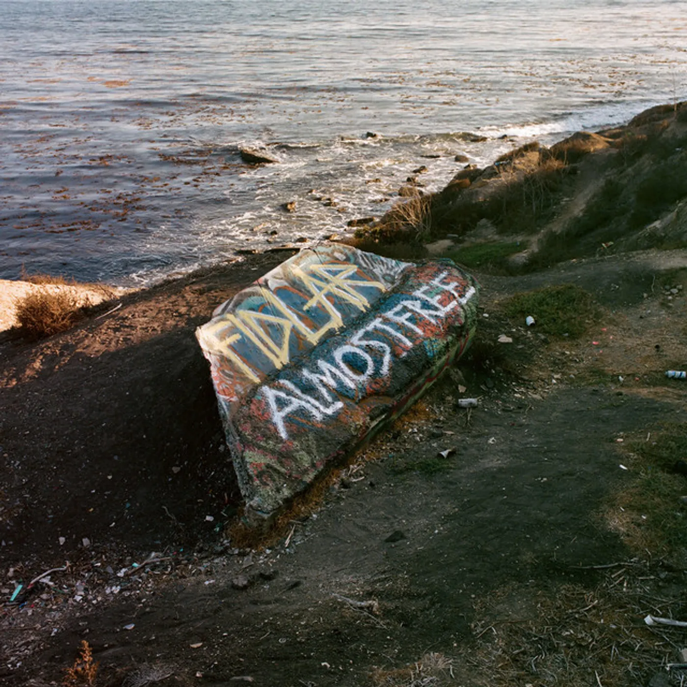 FIDLAR ALMOST FREE (DL) Vinyl Record
