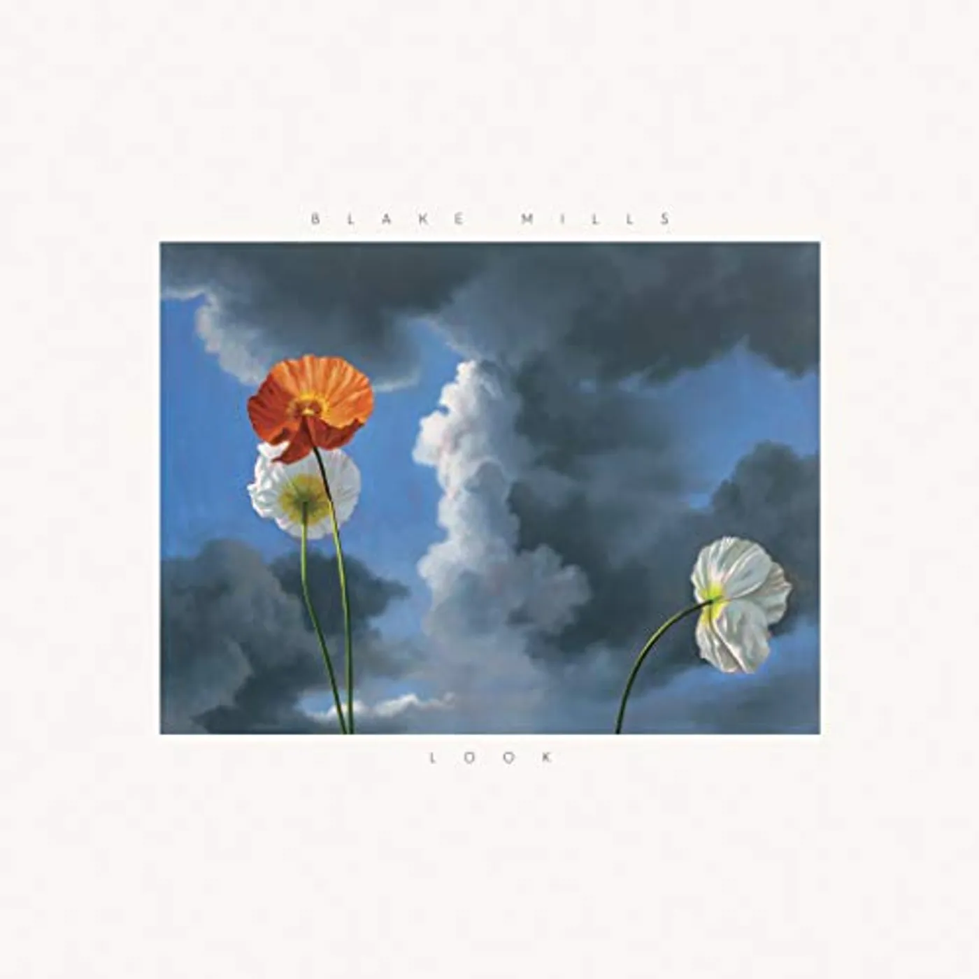 Blake Mills LOOK CD