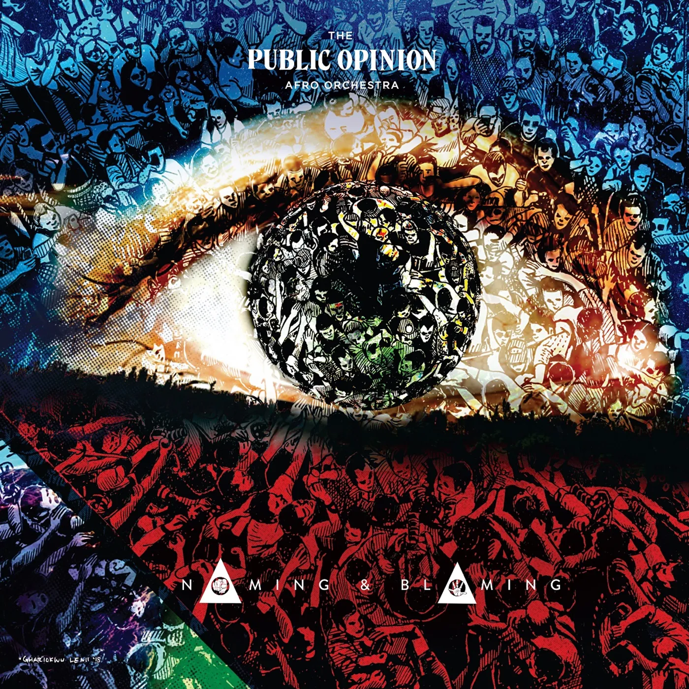 The Public Opinion Afro Orchestra Naming & Blaming Vinyl Record