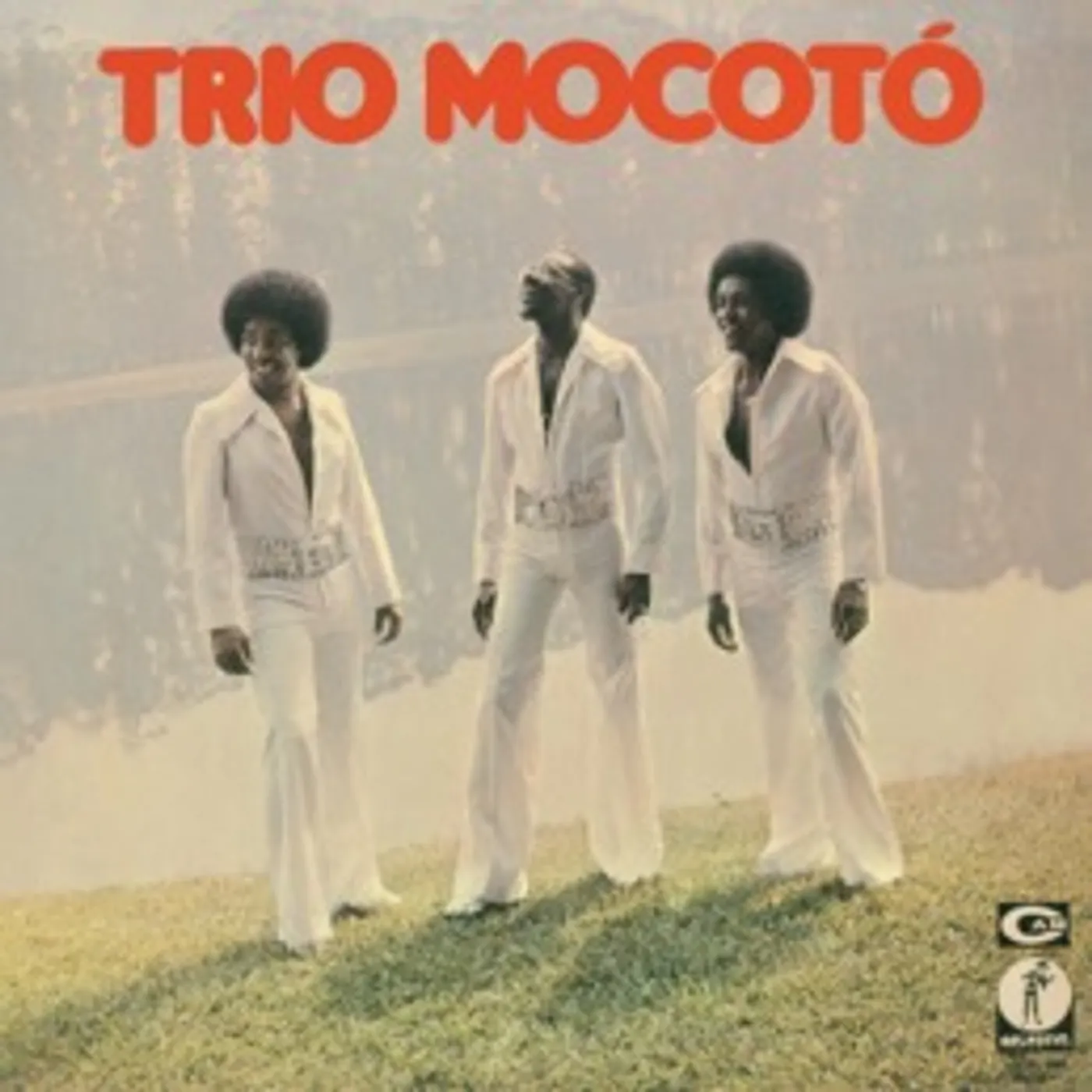 Trio Mocoto Vinyl Record