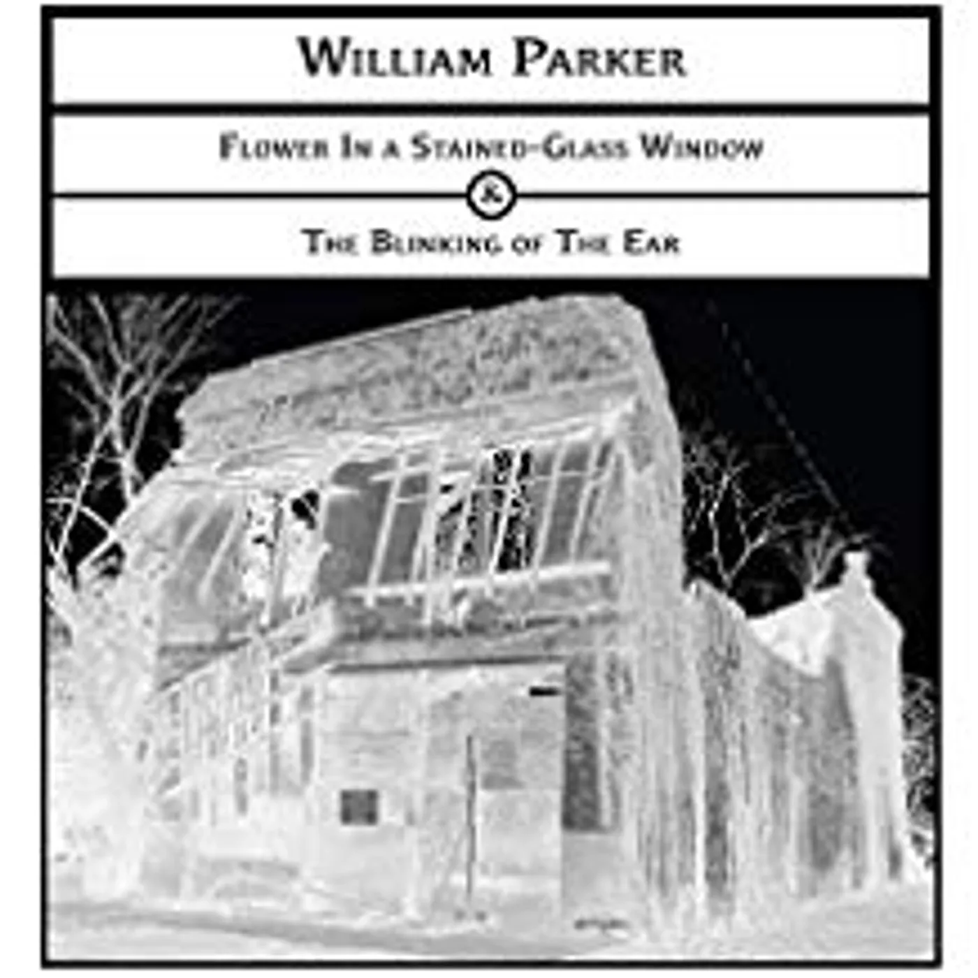 William Parker FLOWER IN A STAINED-GLASS WINDOW -&- THE BLINKING CD