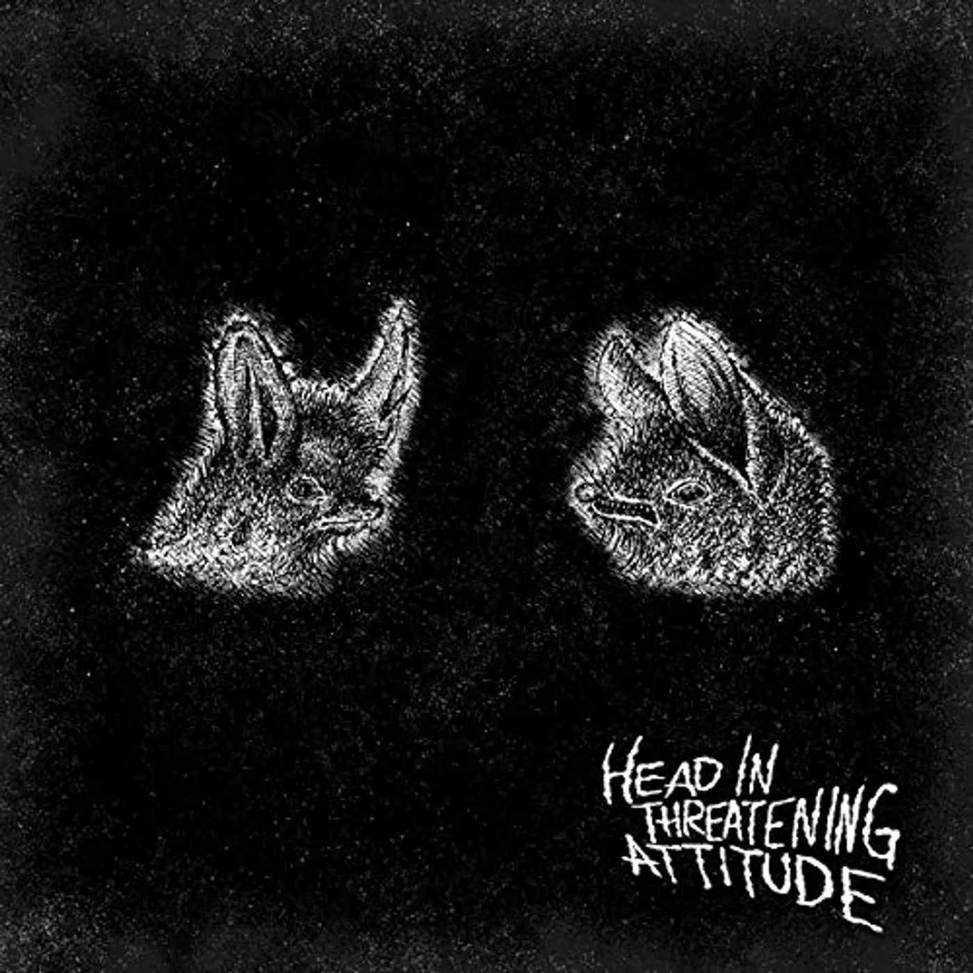 Natterers HEAD IN THREATENING ATTITUDE CD