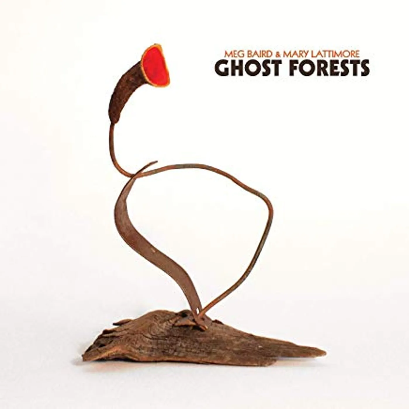 Meg Baird Ghost Forests Vinyl Record