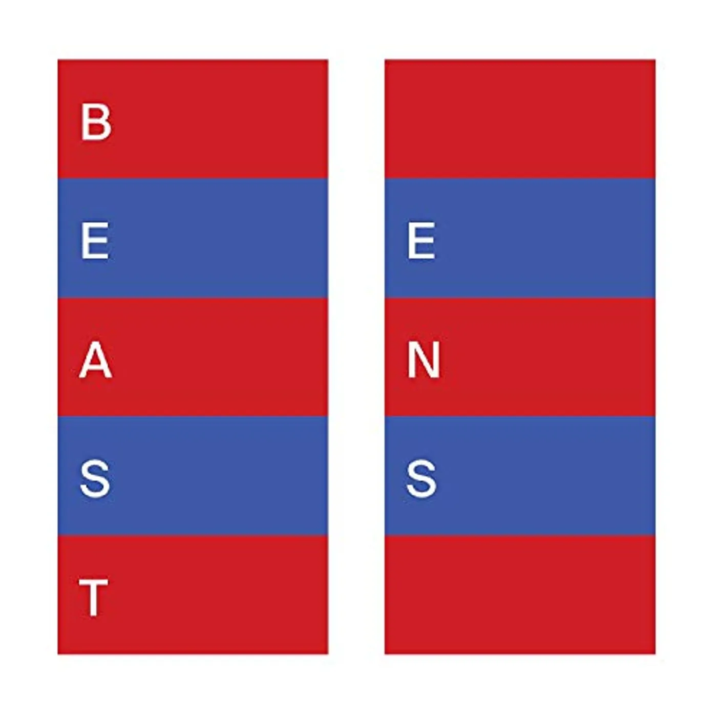 BEAST! ENS Vinyl Record
