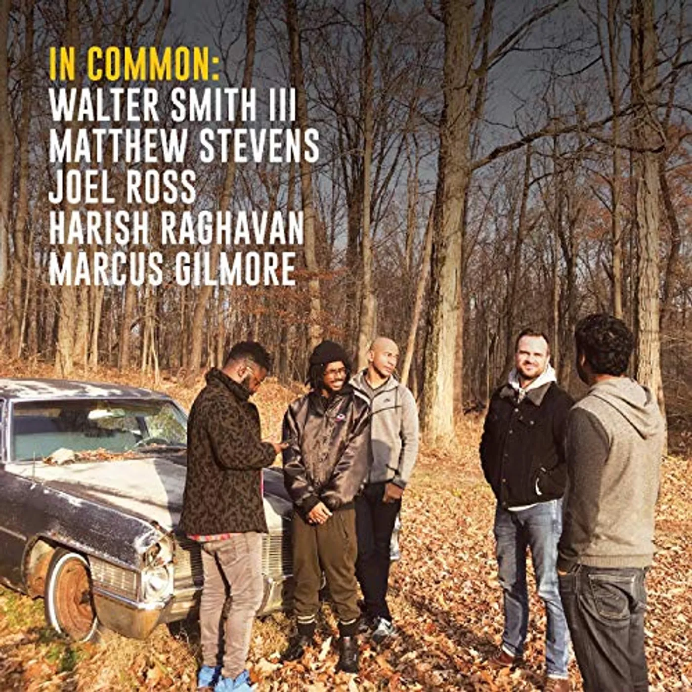 Matthew Stevens In Common Vinyl Record