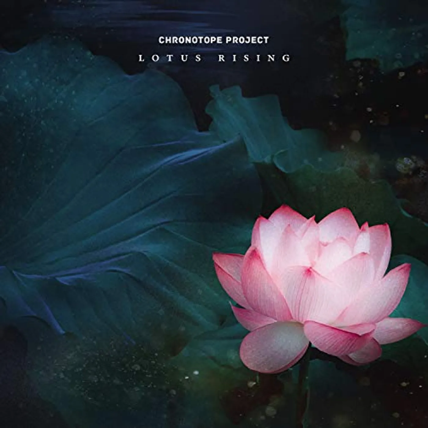 Chronotope Project LOTUS RISING CD