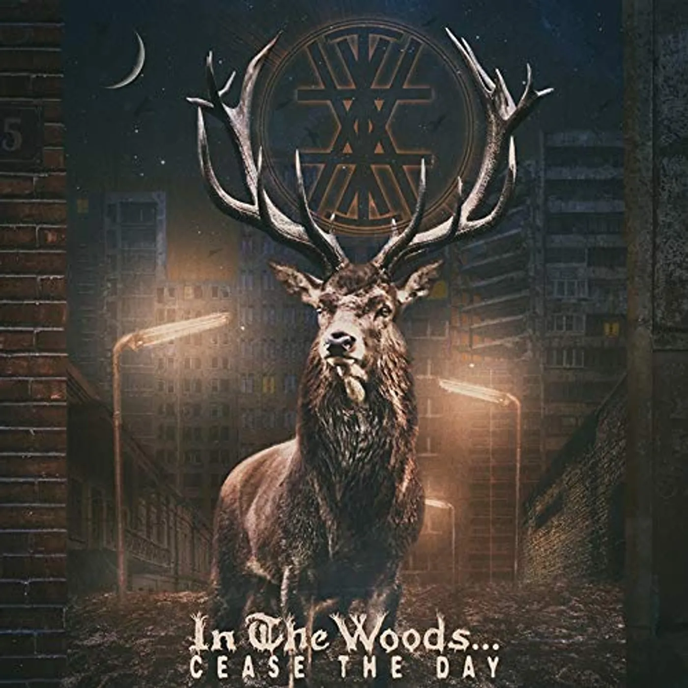 In The Woods... CEASE THE DAY CD