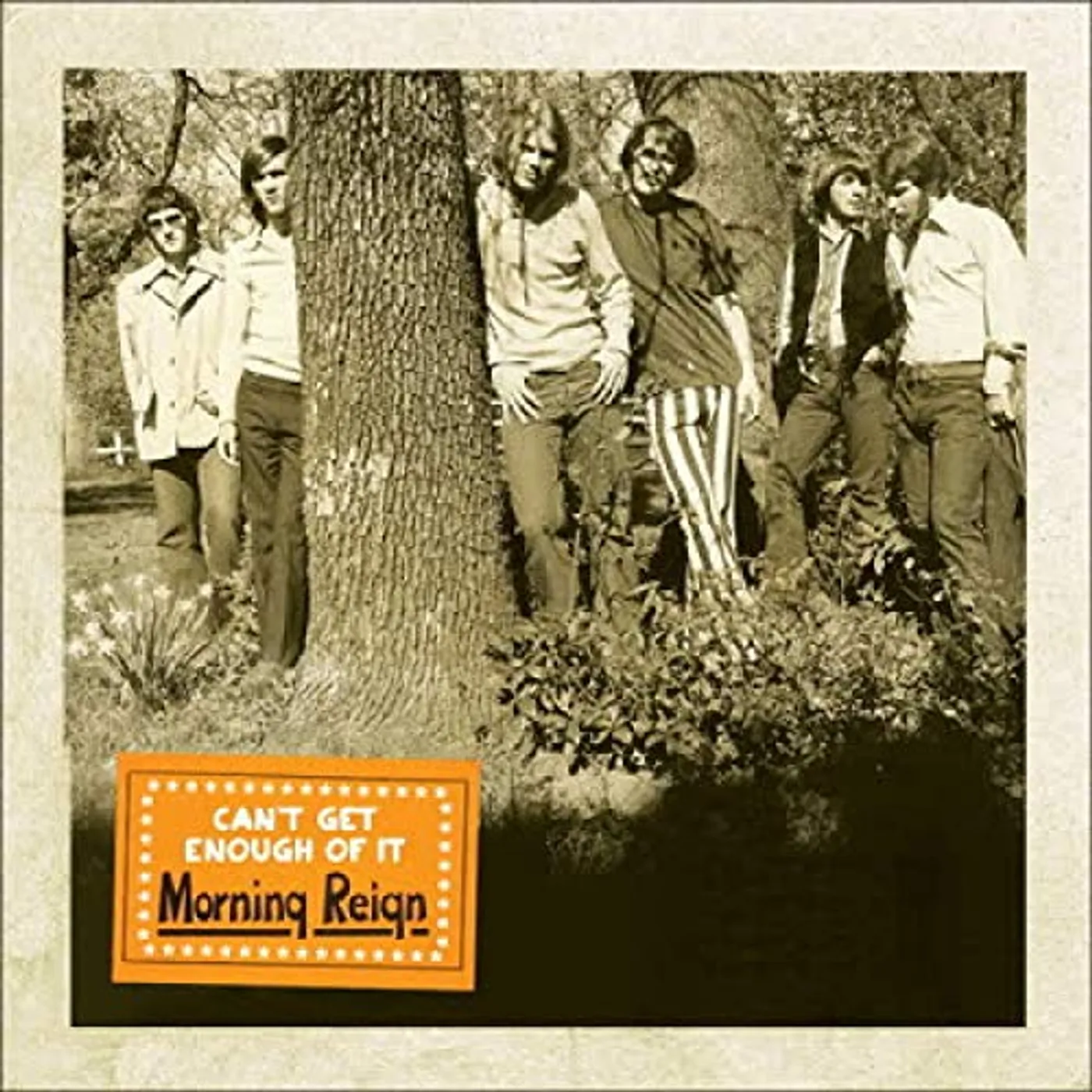 Morning Reign CAN'T GET ENOUGH OF IT CD