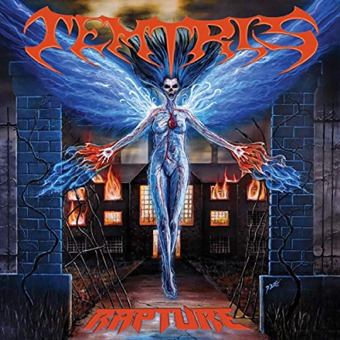 Temtris RAPTURE CD