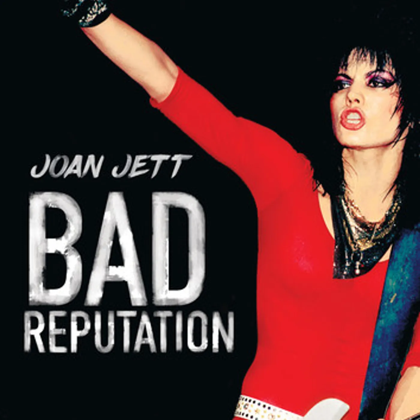 BAD REPUTATION DVD