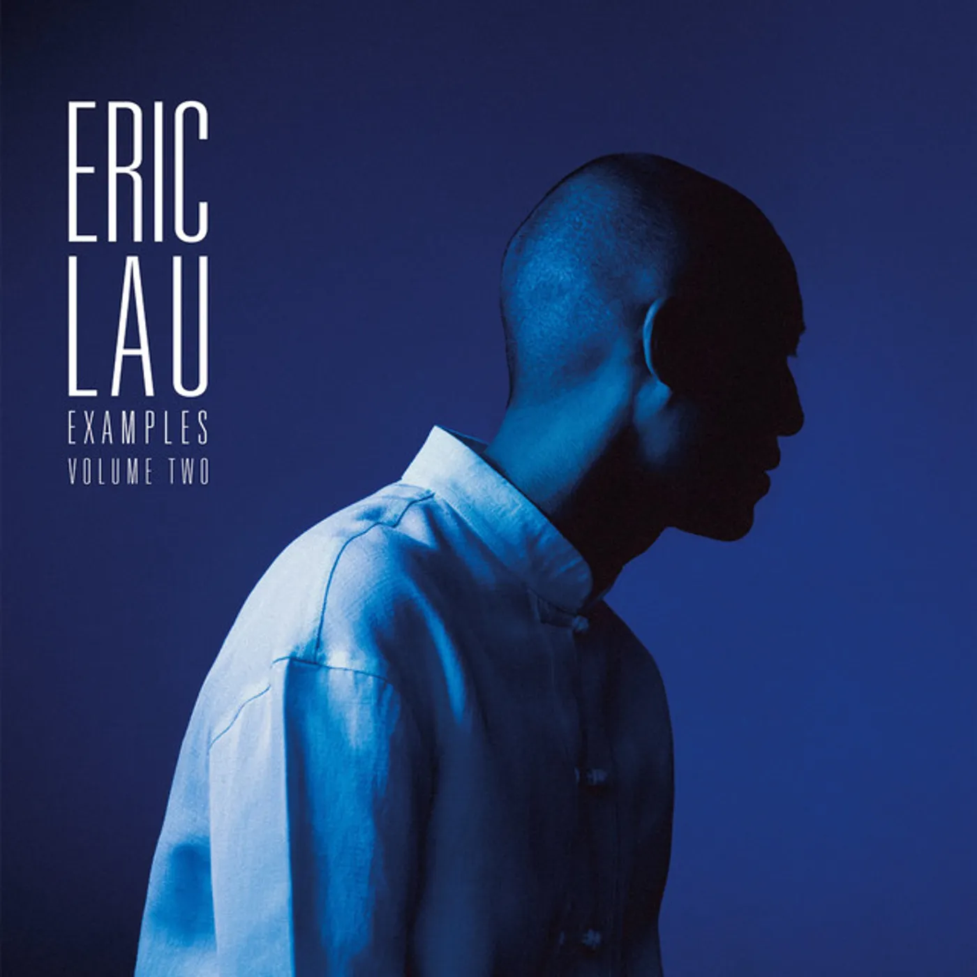 Eric Lau Examples Volume Two Vinyl Record