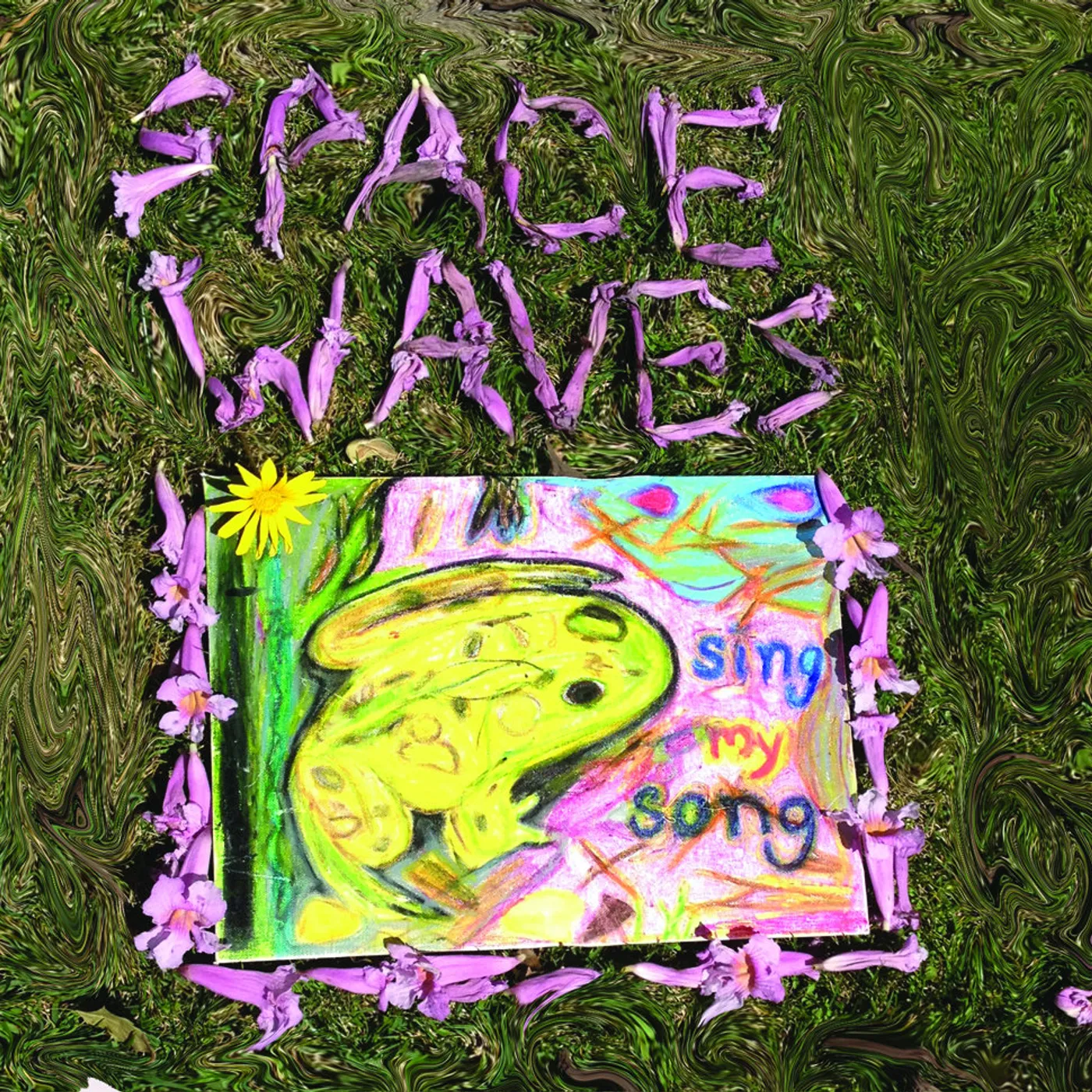 Space Waves Sing My Song Vinyl Record