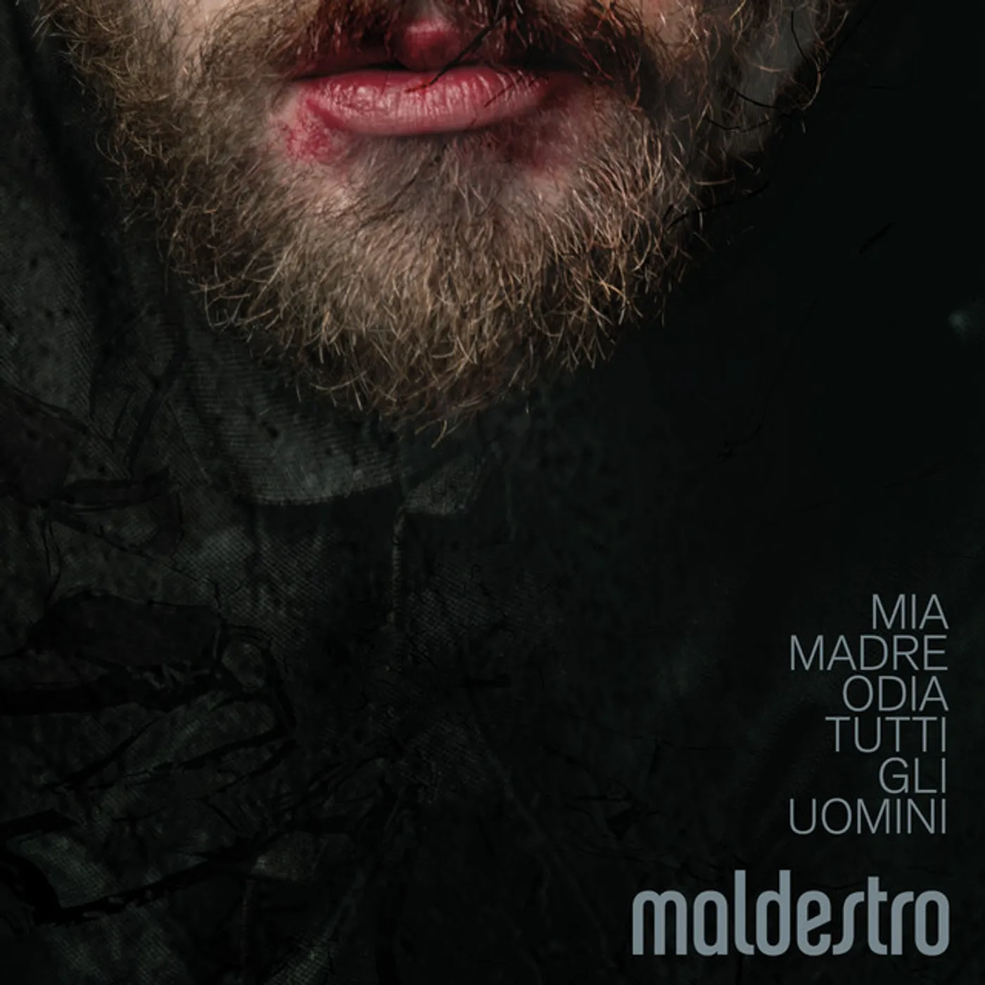 Maldestro Mia madre odia tutti gli uomini Vinyl Record