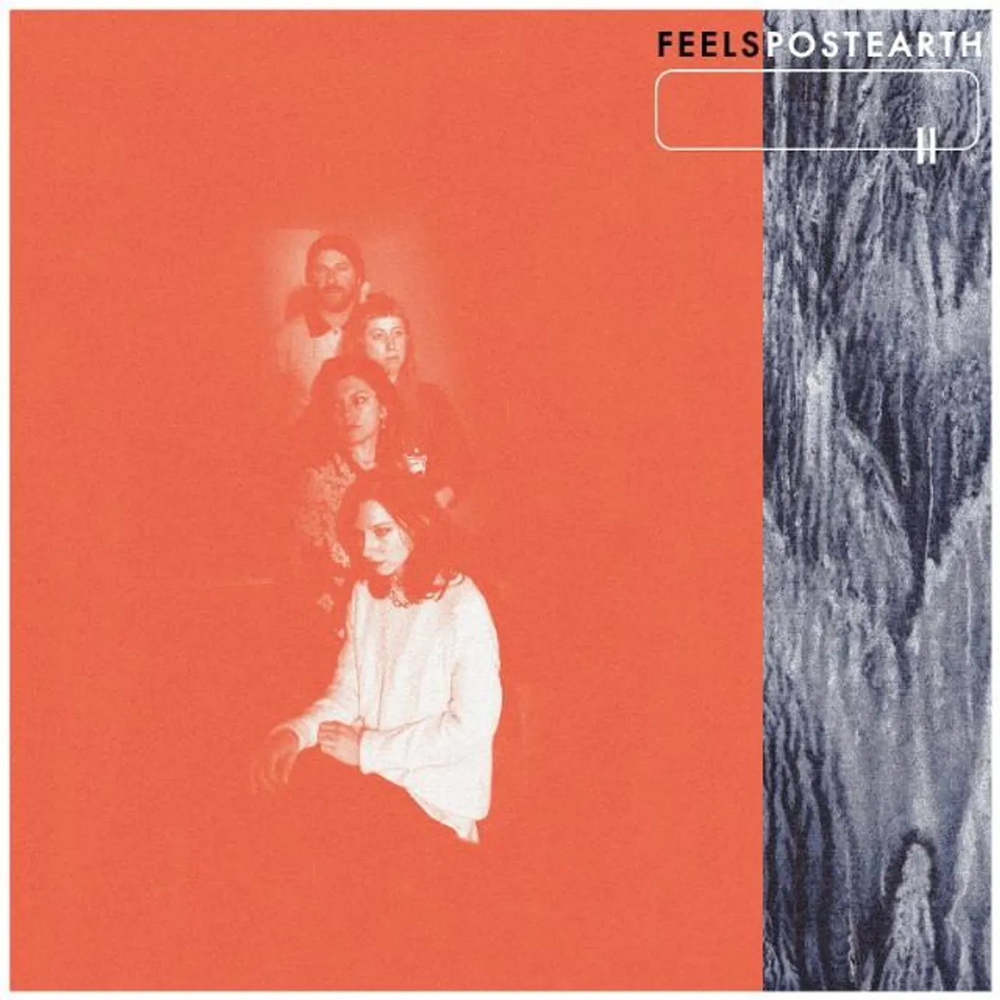 FEELS Post Earth Vinyl Record