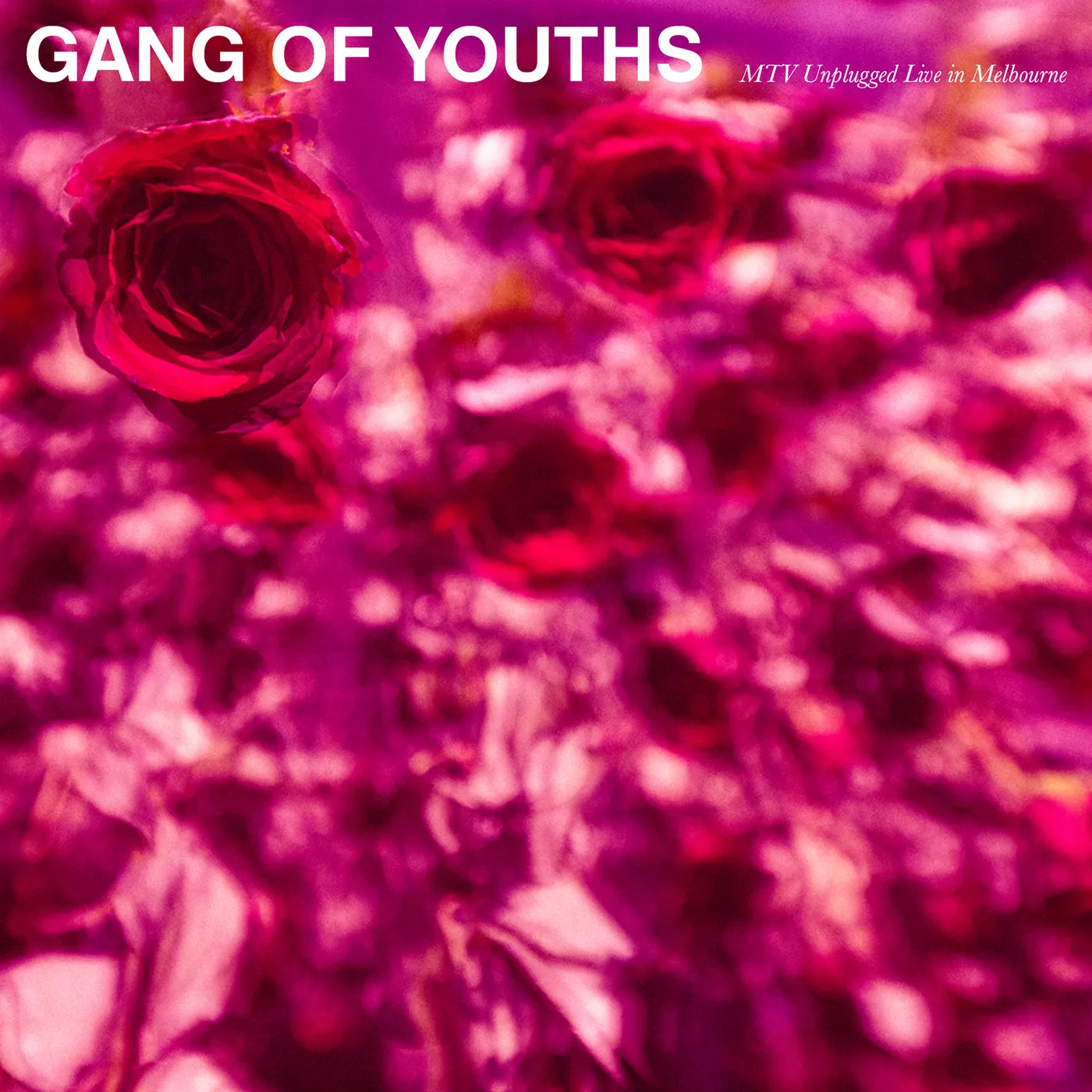 Gang of Youths MTV Unplugged (Live In Melbourne) Vinyl Record