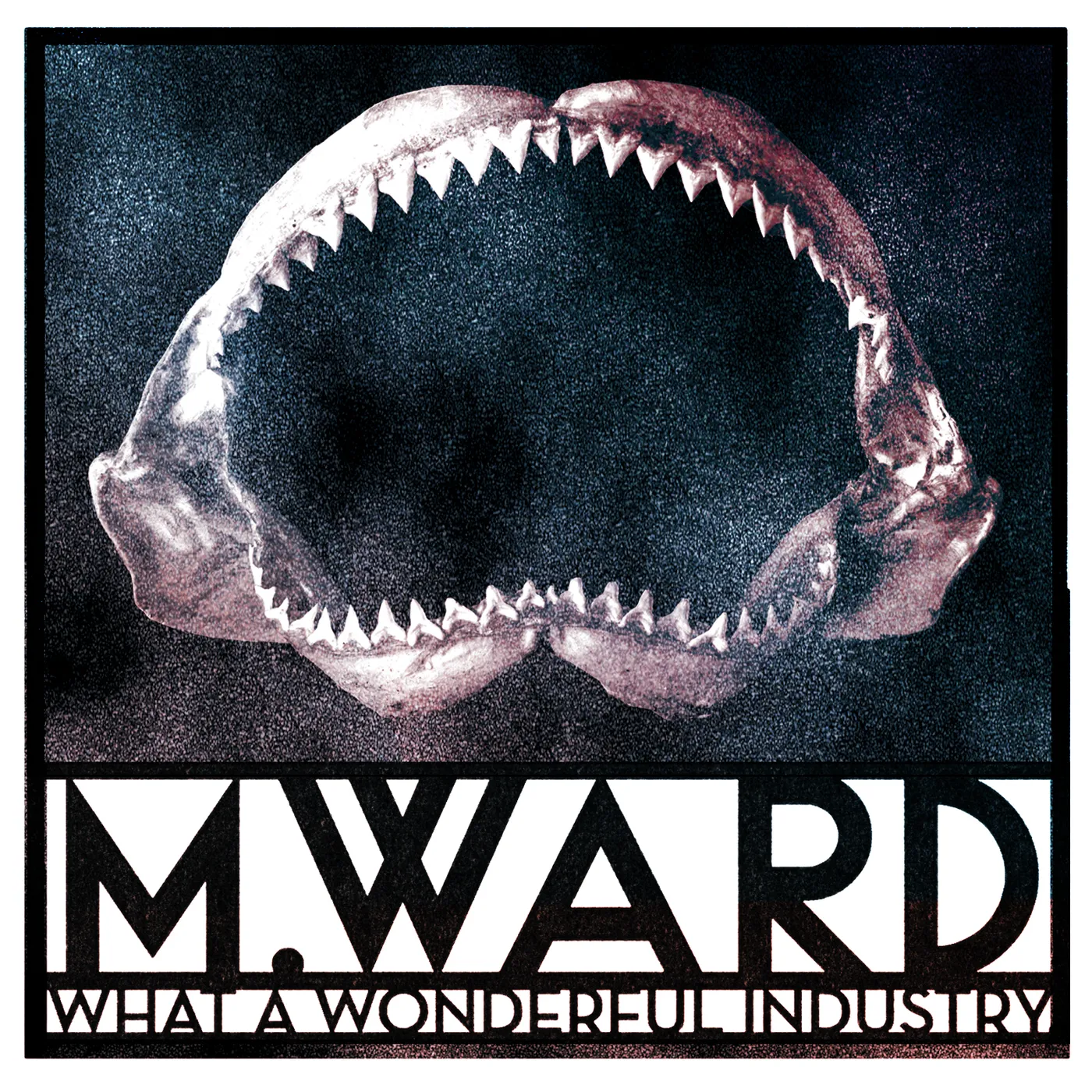 M. Ward What a Wonderful Industry Vinyl Record