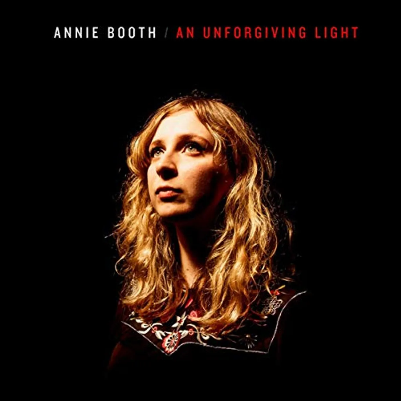 Annie Booth An Unforgiving Light Vinyl Record