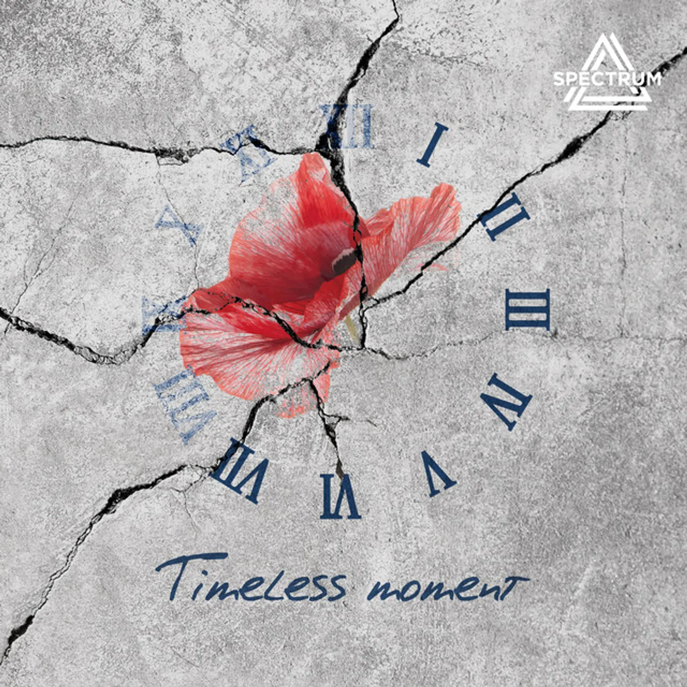 SPECTRUM TIMELESS MOMENT CD