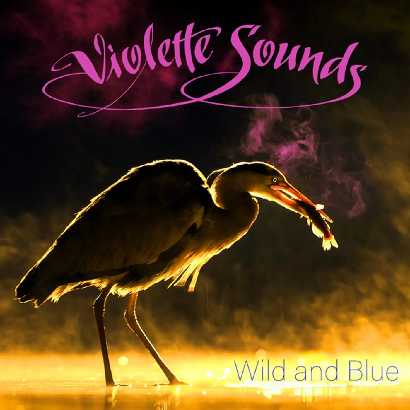 Violette Sounds Wild and Blue Vinyl Record