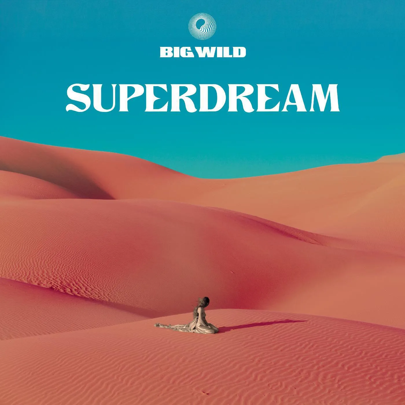 Big Wild Superdream Vinyl Record