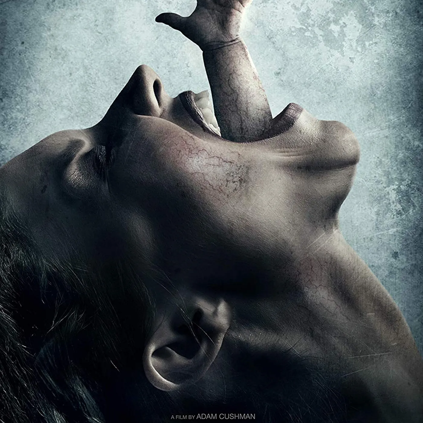 RESTRAINT DVD