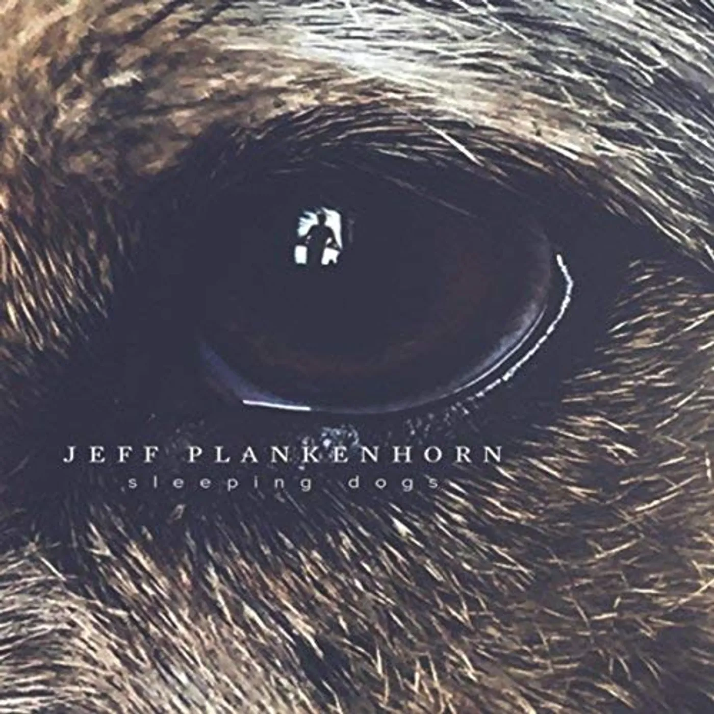 Jeff Plankenhorn SLEEPING DOGS CD