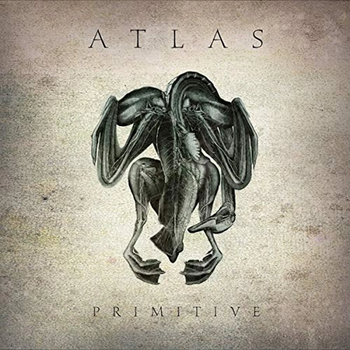 Atlas PRIMITIVE CD