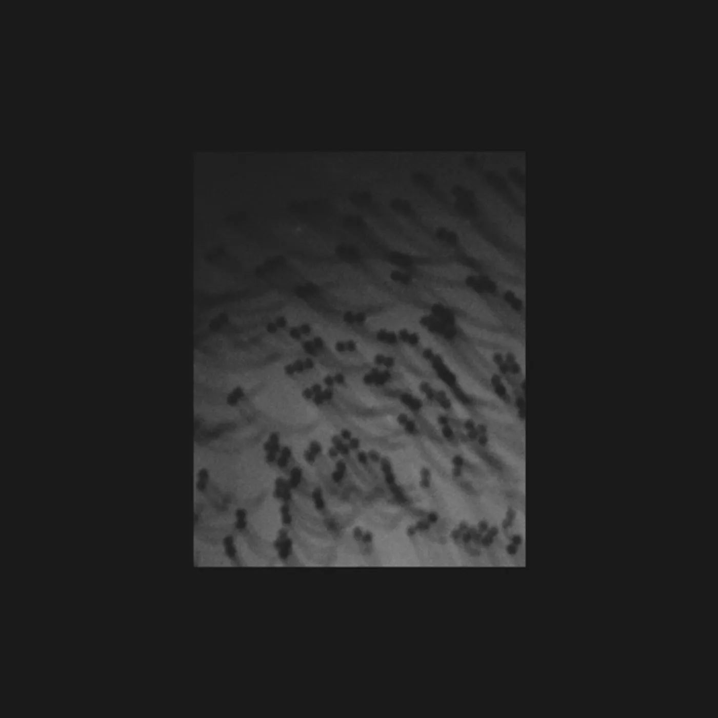 Merzbow MONOAKUMA CD