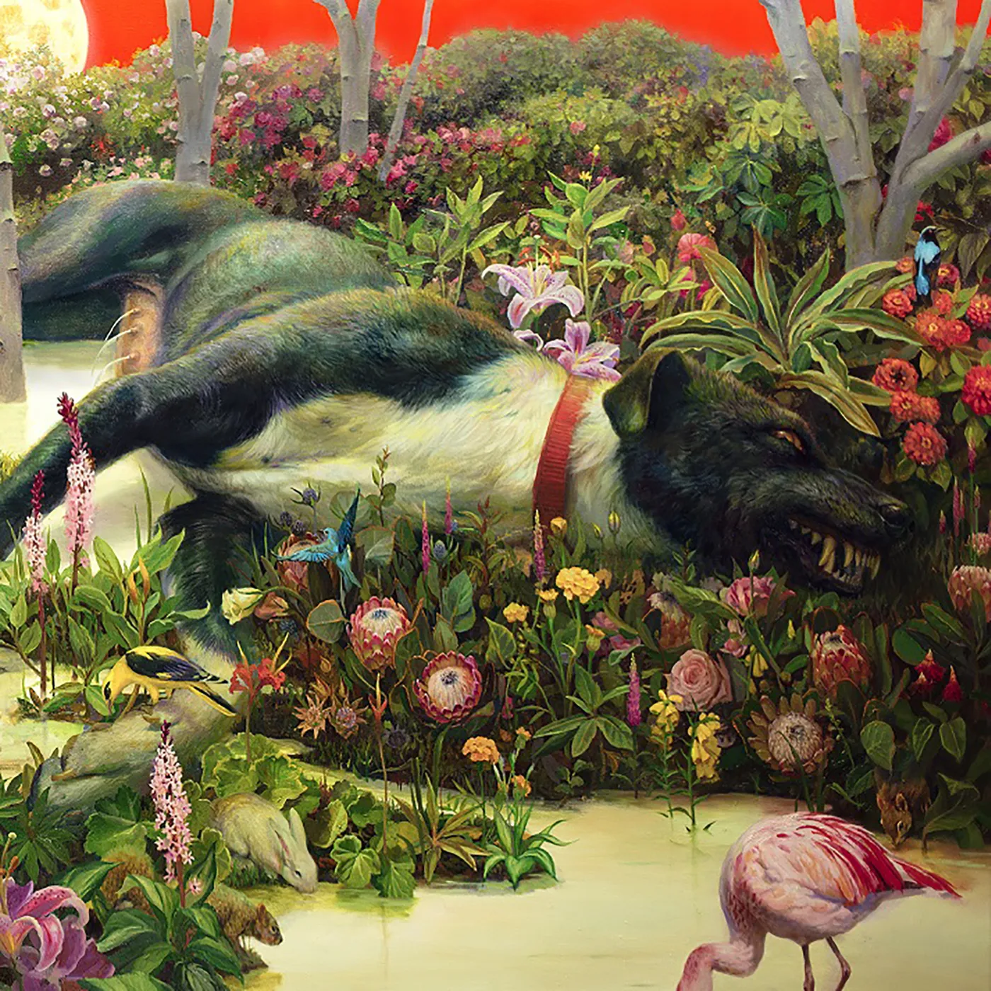 Rival Sons FERAL ROOTS CD